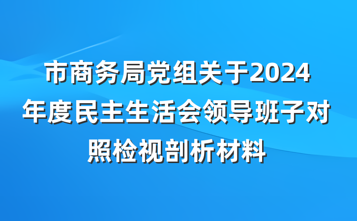 市商务局党组关于2024年度民主生活会领导班子对照检视剖析材料