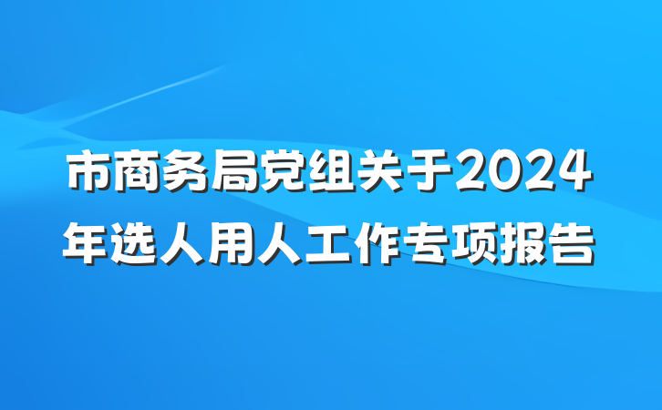 市商务局党组关于2024年选人用人工作专项报告