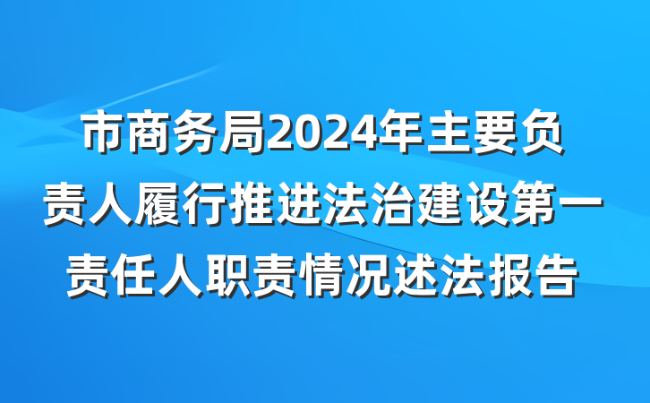 市商务局2024年主要负责人履行推进法治建设第一责任人职责情况述法报告