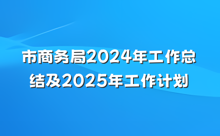 市商务局2024年工作总结及2025年工作计划