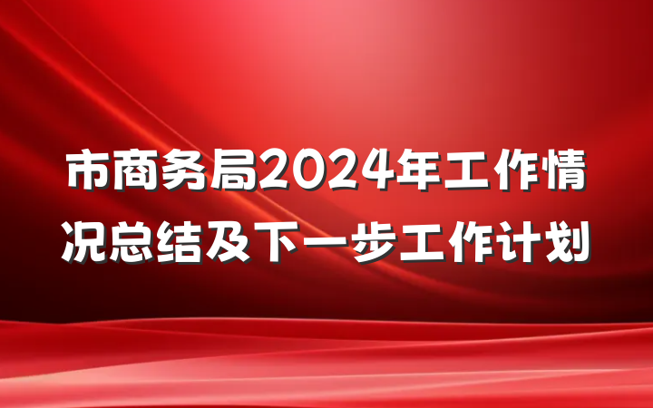市商务局2024年工作情况总结及下一步工作计划