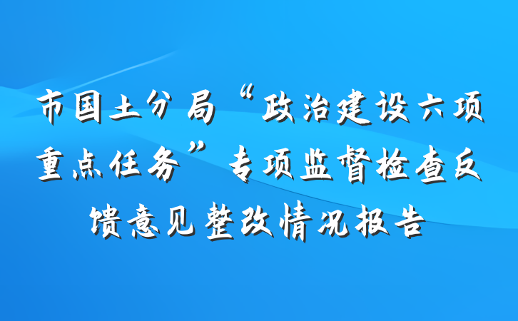 市国土分局“政治建设六项重点任务”专项监督检查反馈意见整改情况报告