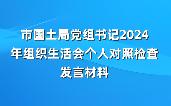 市国土局党组书记2024年组织生活会个人对照检查发言材料