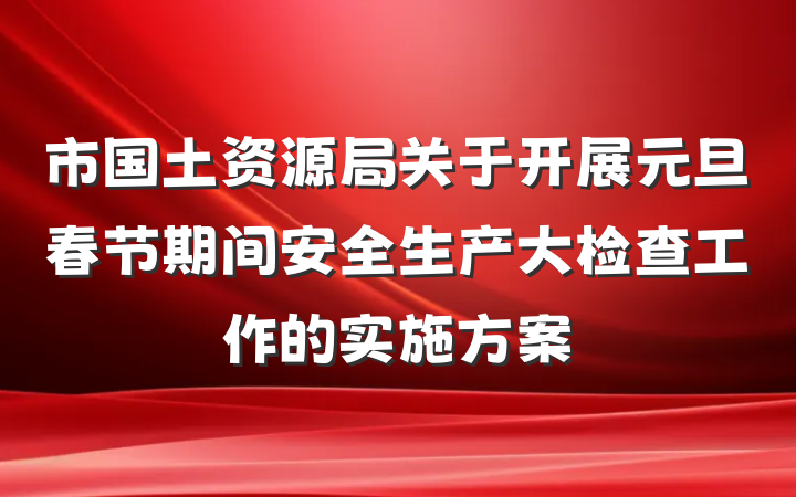 市国土资源局关于开展元旦春节期间安全生产大检查工作的实施方案
