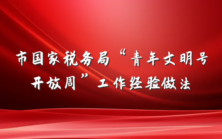 市国家税务局“青年文明号开放周”工作经验做法