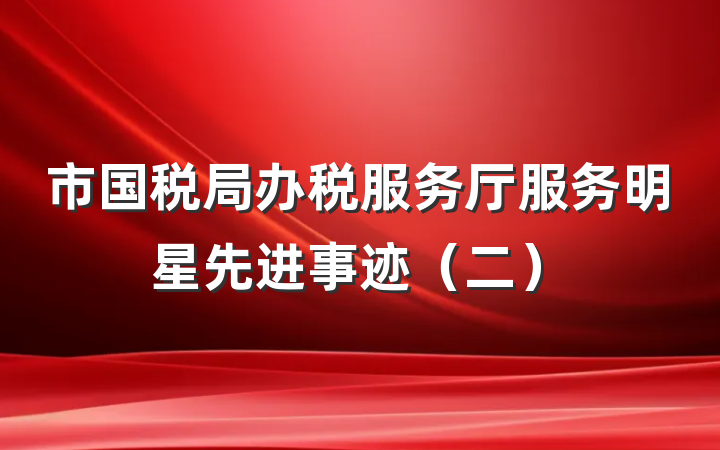 市国税局办税服务厅服务明星先进事迹（二）