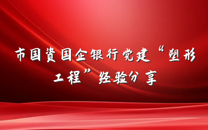 市国资国企银行党建“塑形工程”经验分享