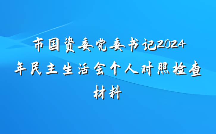 市国资委党委书记2024年民主生活会个人对照检查材料