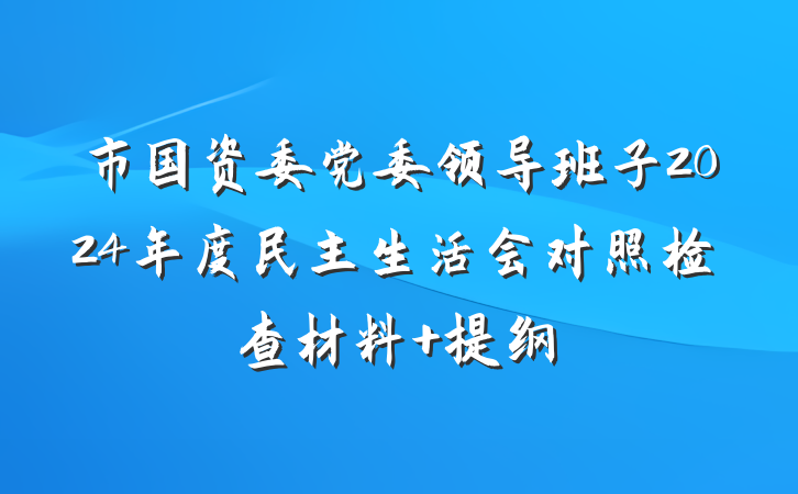 市国资委党委领导班子2024年度民主生活会对照检查材料 提纲