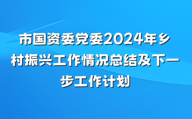 市国资委党委2024年乡村振兴工作情况总结及下一步工作计划