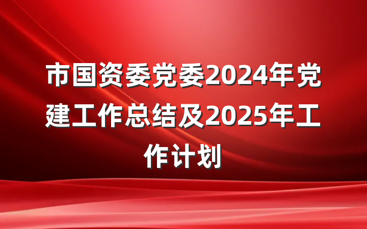 市国资委党委2024年党建工作总结及2025年工作计划