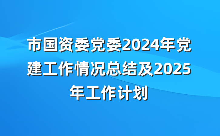 市国资委党委2024年党建工作情况总结及2025年工作计划