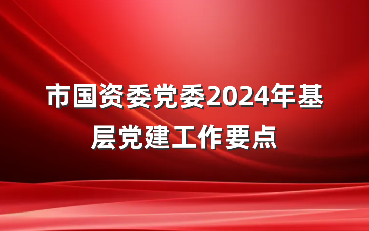 市国资委党委2024年基层党建工作要点