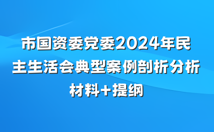 市国资委党委2024年民主生活会典型案例剖析分析材料 提纲