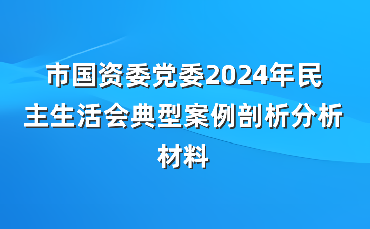 市国资委党委2024年民主生活会典型案例剖析分析材料