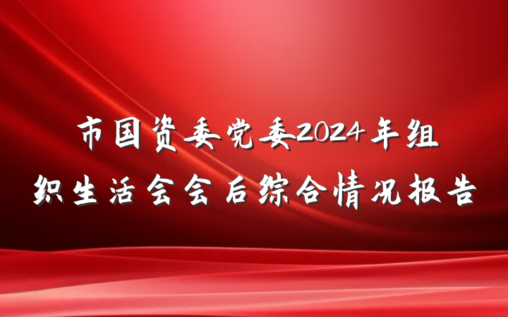 市国资委党委2024年组织生活会会后综合情况报告
