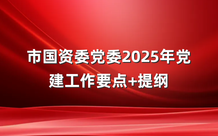 市国资委党委2025年党建工作要点 提纲