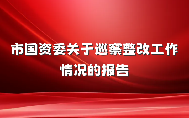 市国资委关于巡察整改工作情况的报告