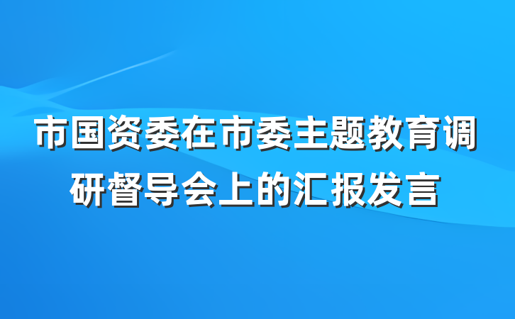 市国资委在市委主题教育调研督导会上的汇报发言
