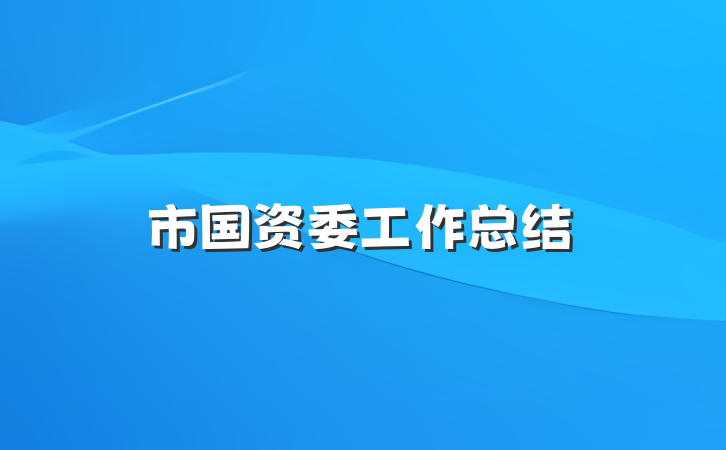 市国资委工作总结