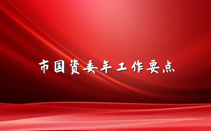 市国资委年工作要点