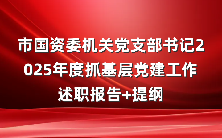 市国资委机关党支部书记2025年度抓基层党建工作述职报告 提纲