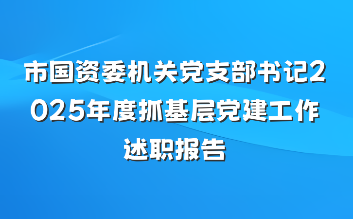 市国资委机关党支部书记2025年度抓基层党建工作述职报告