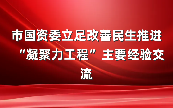 市国资委立足改善民生推进“凝聚力工程”主要经验交流