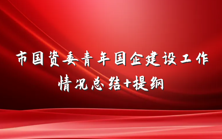 市国资委青年国企建设工作情况总结 提纲