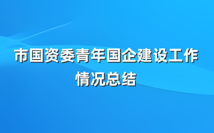 市国资委青年国企建设工作情况总结