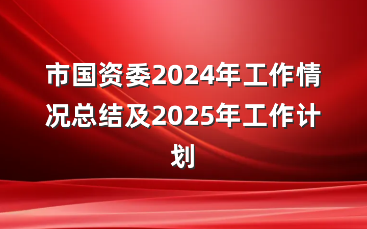 市国资委2024年工作情况总结及2025年工作计划