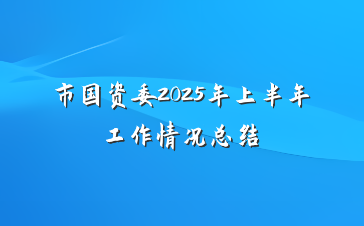 市国资委2025年上半年工作情况总结