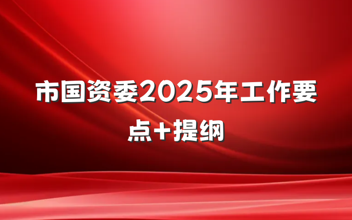 市国资委2025年工作要点 提纲