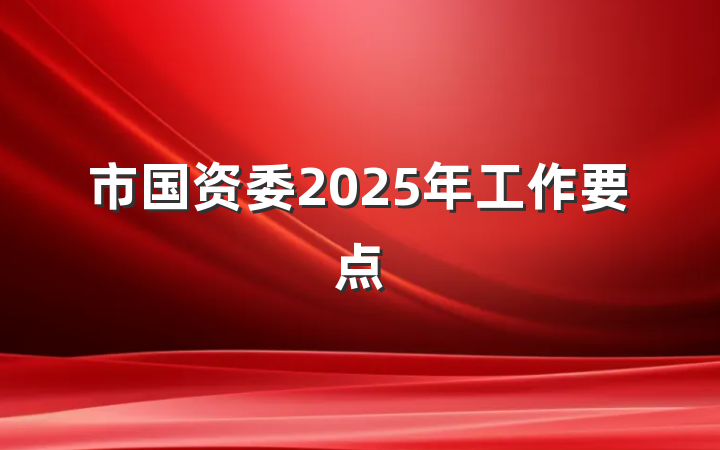市国资委2025年工作要点