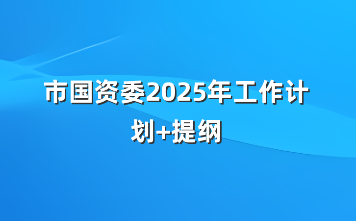 市国资委2025年工作计划 提纲