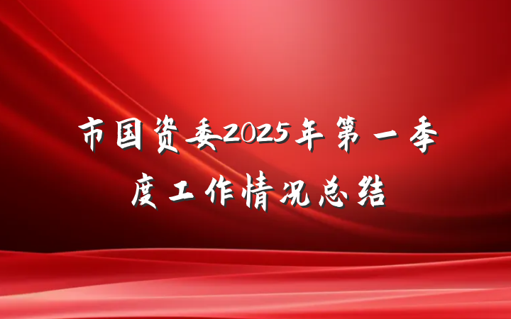 市国资委2025年第一季度工作情况总结