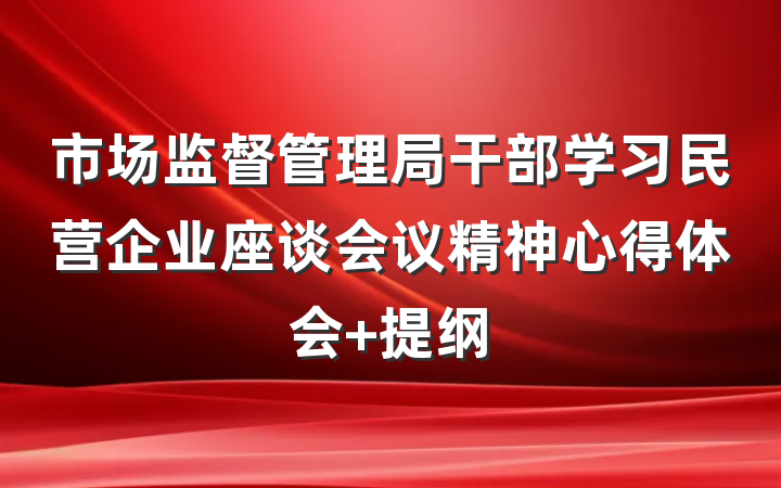 市场监督管理局干部学习民营企业座谈会议精神心得体会 提纲