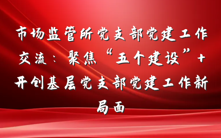 市场监管所党支部党建工作交流：聚焦“五个建设” 开创基层党支部党建工作新局面