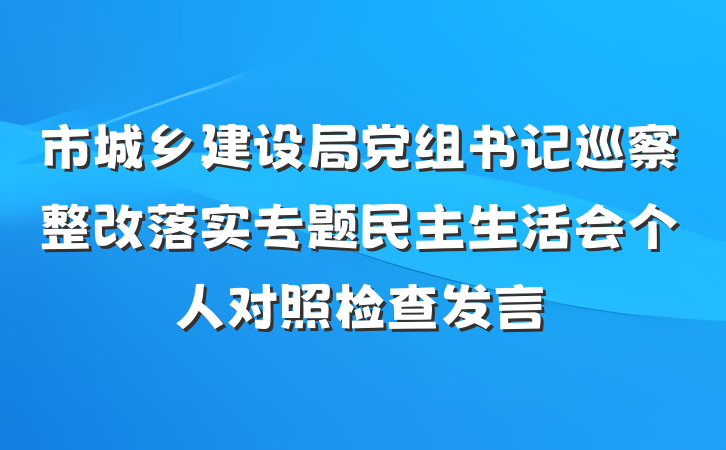市城乡建设局党组书记巡察整改落实专题民主生活会个人对照检查发言
