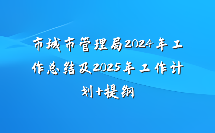 市城市管理局2024年工作总结及2025年工作计划 提纲