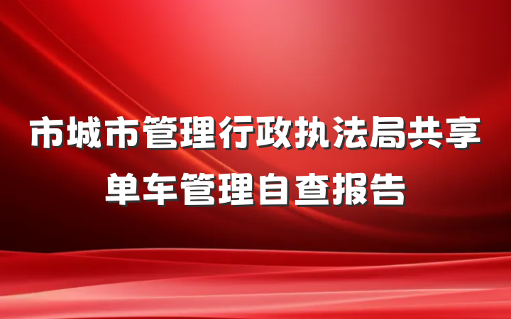 市城市管理行政执法局共享单车管理自查报告