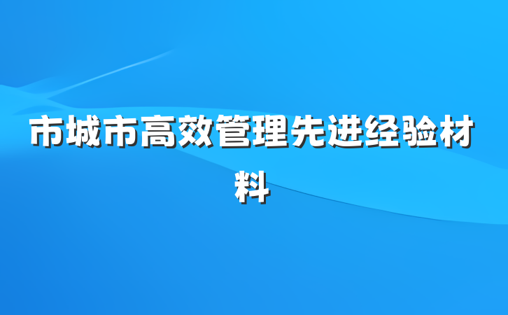 市城市高效管理先进经验材料