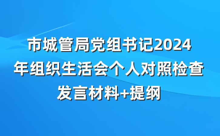 市城管局党组书记2024年组织生活会个人对照检查发言材料 提纲