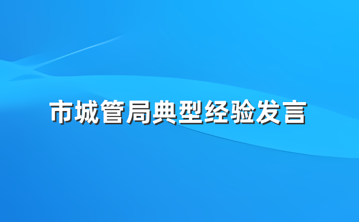 市城管局典型经验发言