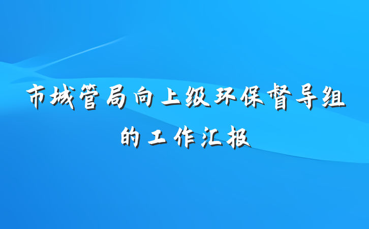 市城管局向上级环保督导组的工作汇报