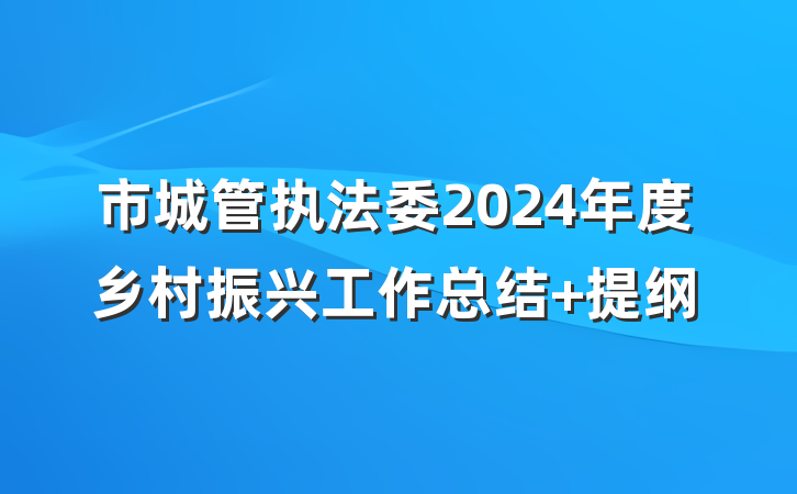 市城管执法委2024年度乡村振兴工作总结 提纲
