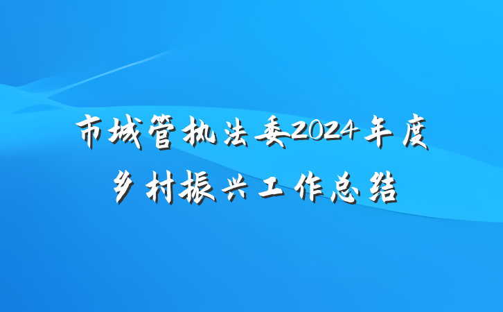 市城管执法委2024年度乡村振兴工作总结