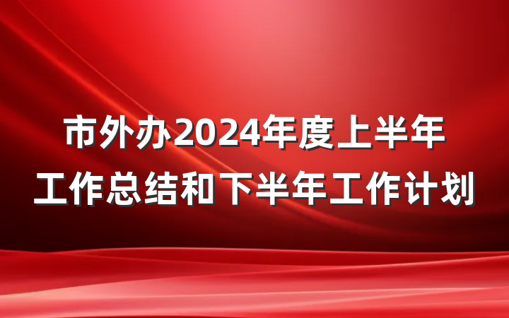 市外办2024年度上半年工作总结和下半年工作计划