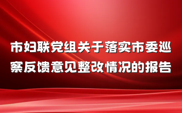 市妇联党组关于落实市委巡察反馈意见整改情况的报告