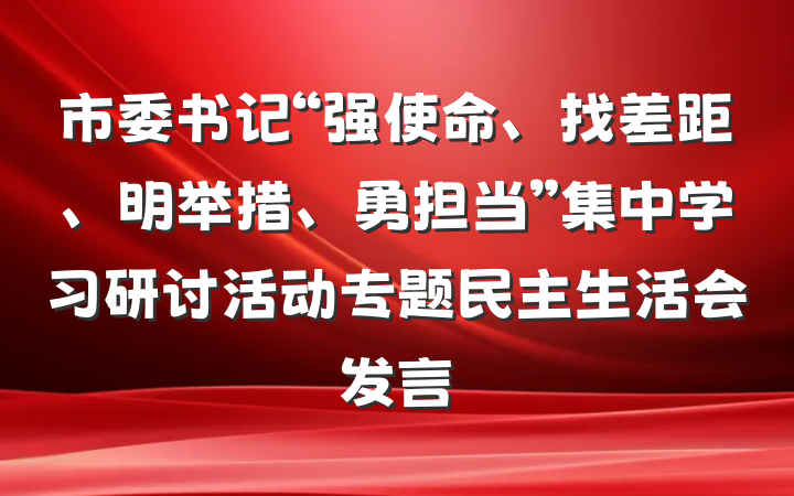 市委书记“强使命、找差距、明举措、勇担当”集中学习研讨活动专题民主生活会发言